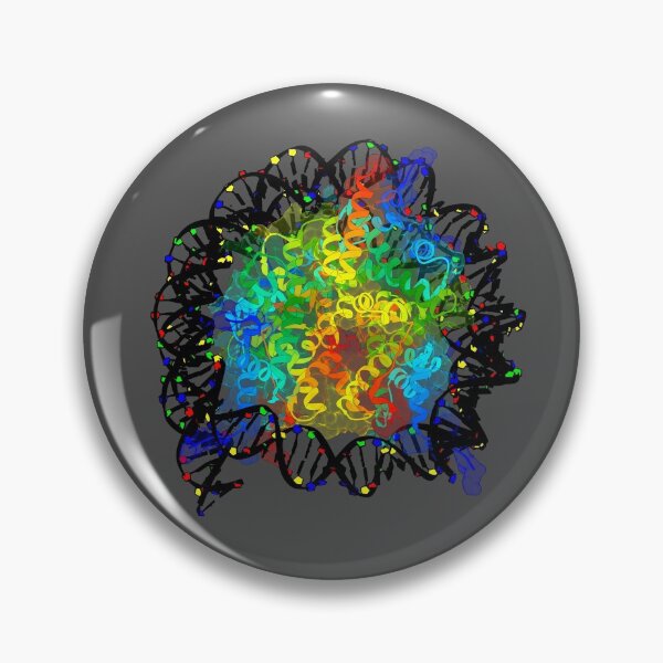 Item preview, Nucleosome designed and sold by 3D Biology.