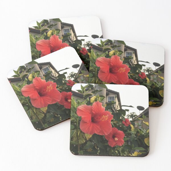Item preview, Red Hibiscus In Golden Sunlight designed and sold by anatovas.