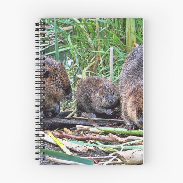 Item preview, Beaver Family designed and sold by Peggy Collins.
