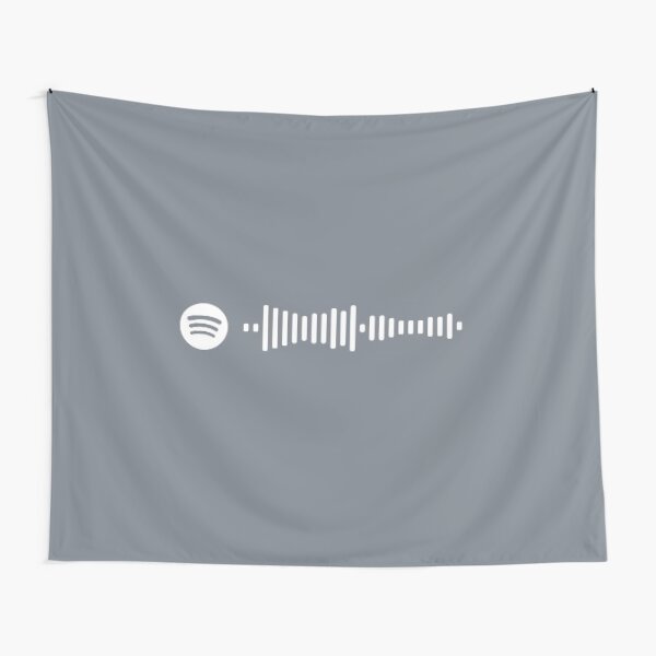 Luke Combs Better Together Spotify Code Tapestry