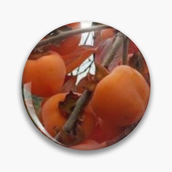 Item preview, Nice persimmon. designed and sold by Lan thi Nguyen.