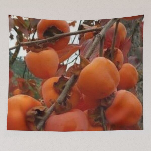 Item preview, Nice persimmon. designed and sold by Lan thi Nguyen.