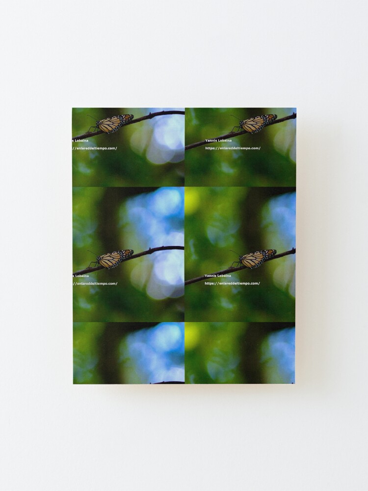 Alternate view of Copy of Monarch butterfly before flying in search of sun By Yannis Lobaina Mounted Print