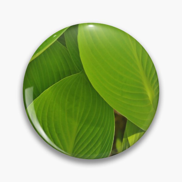 Item preview, Green Leaf designed and sold by NKW1709.