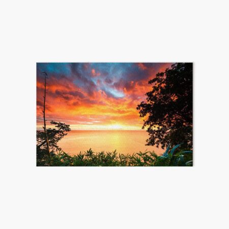 Caribbean sunset Art Board Print