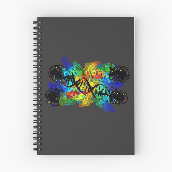 Item preview, Nucleosome designed and sold by 3D Biology.