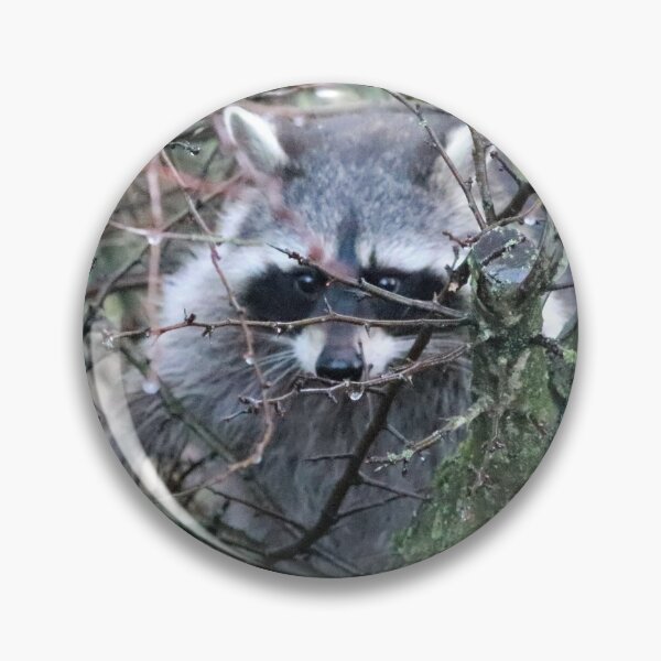 Item preview, Bandit 12 O`clock designed and sold by Ladymoose.