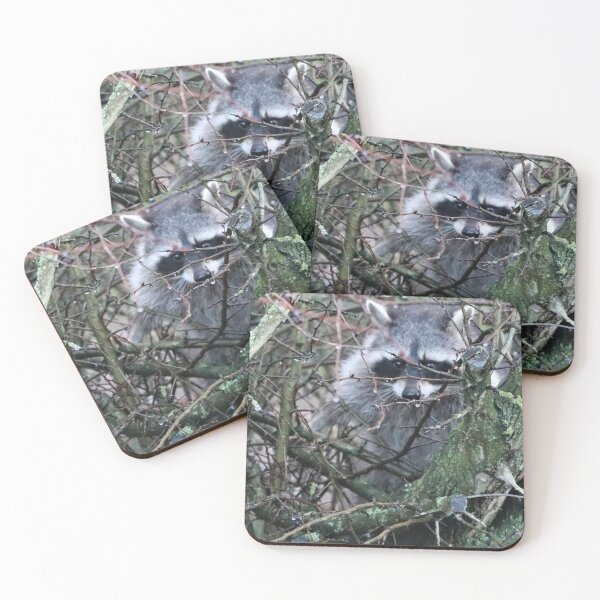 Item preview, Bandit 12 O`clock designed and sold by Ladymoose.
