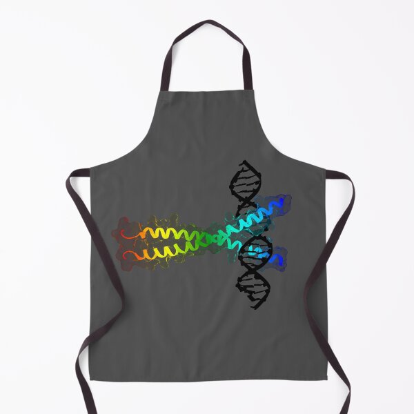 Item preview, Transcription Factor designed and sold by 3D Biology.