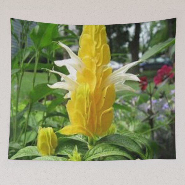 Item preview, Bonito jardín. designed and sold by Lan thi Nguyen.