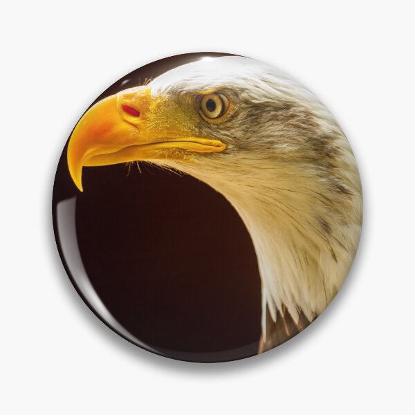 Item preview, Bald Eagle designed and sold by MLP Fine Art.