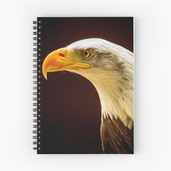 Item preview, Bald Eagle designed and sold by MLP Fine Art.