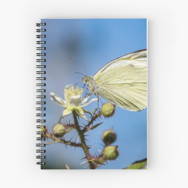 Item preview, Small White Butterfly designed and sold by MLP Fine Art.