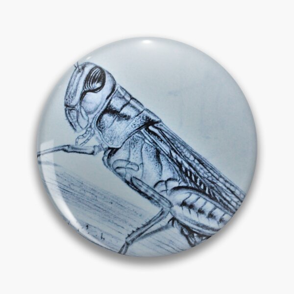 Item preview, Grasshopper, species Eypremocnemis plorans designed and sold by GazpachoAzul.