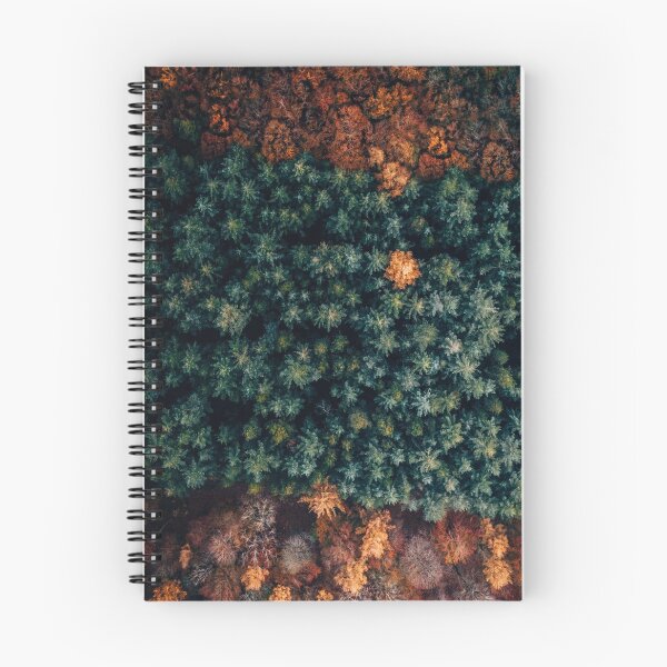 Item preview, Autumn vibes. Drone topdown shot over trees. designed and sold by marionstoffels.
