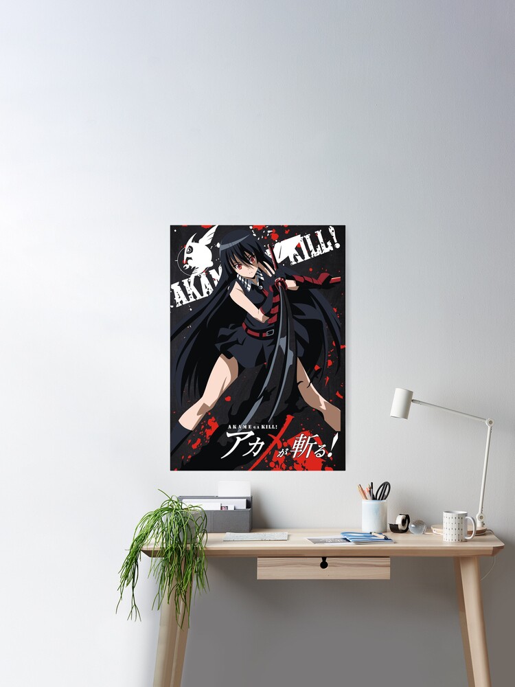 Akame Ga Kill Characters Silk Custom Poster Printed Wall Decor 20 x 13 Inch  24 x