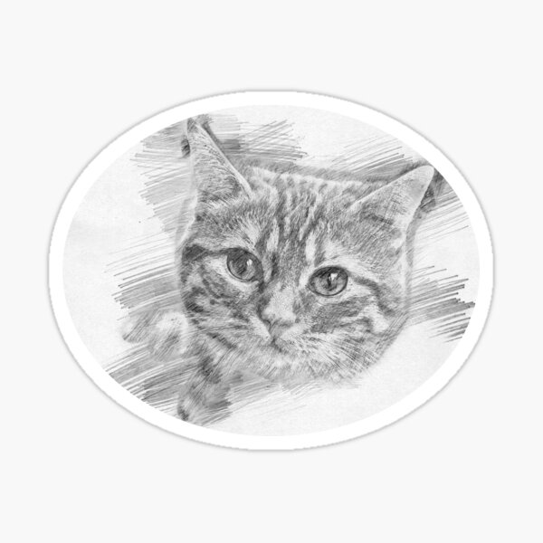 Artikel-Vorschau von Katzenskizze, designt und verkauft von ProhibitionStickers.
