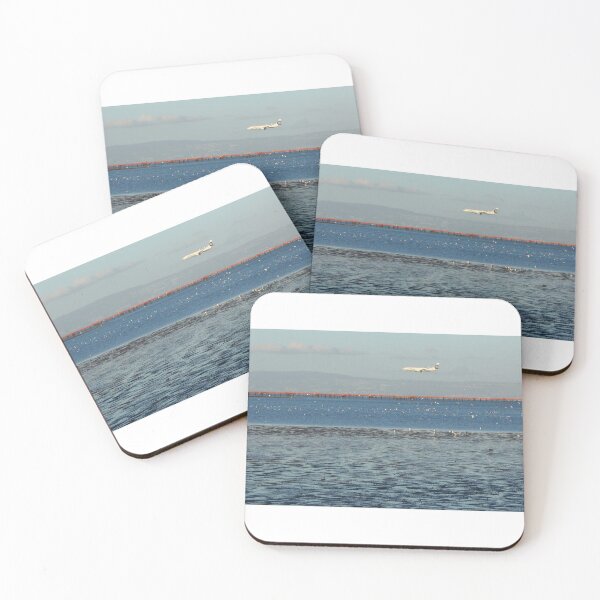 Item preview, Landing at San Francisco designed and sold by Igor Pozdnyakov.