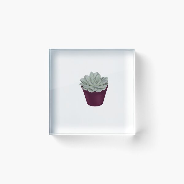 Item preview, Succulent Plant designed and sold by caitlynm212.