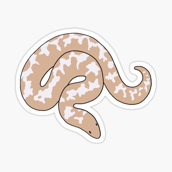 Kenyan Sand Boa Snake Sticker Reptile Constrictor Art Decal Decals ...