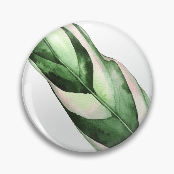Item preview, Calathea Stromanthe Triostar Leaf in Watercolor designed and sold by hiamos.