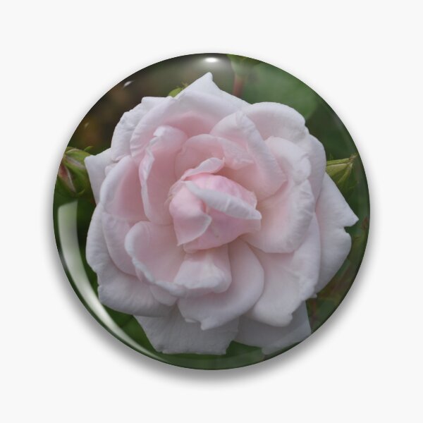 Item preview, Garden Roses designed and sold by ArtGraziano.