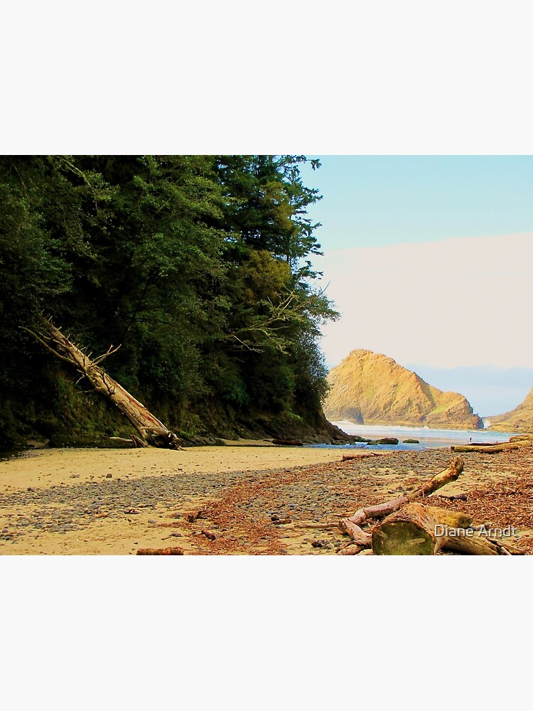Florence, Oregon by trueblvr