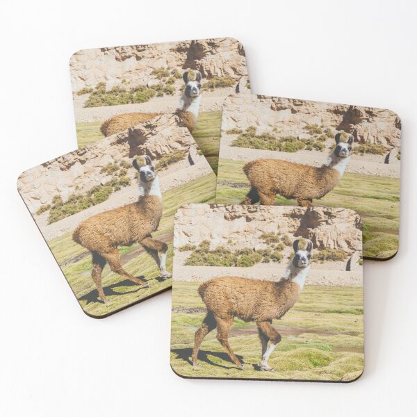 Item preview, Curious llama in Bolivia designed and sold by Carrie Lyman Photography.
