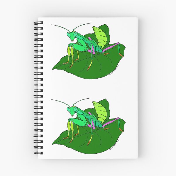 Item preview, African Giant Mantis (juvenile) designed and sold by TinkerandBone.