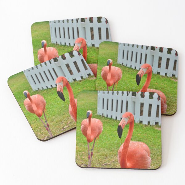 Artikelvorschau, Rosa Flamingos, leuchtend rosa Flamingos, Flamingopaar, bunte Vögel entworfen und verkauft von naturecdesigns.
