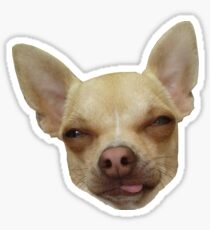 Lick Me Chihuahua! Sticker