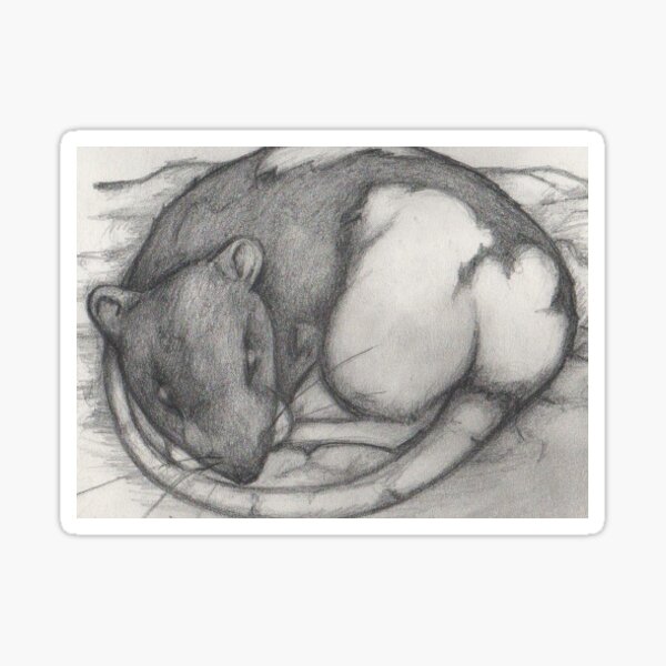 Fancy Rat Sticker