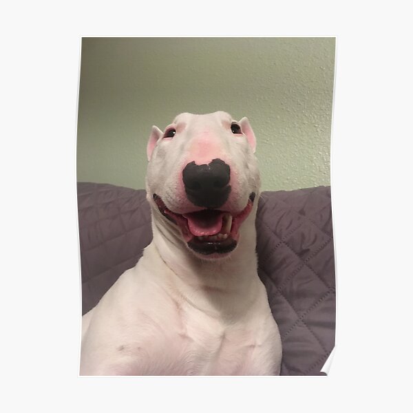 @PupperNelson: Happy Nelson! Poster