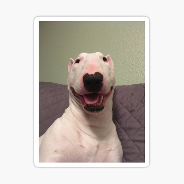 Item preview, @PupperNelson: Happy Nelson! designed and sold by PupperNelson.