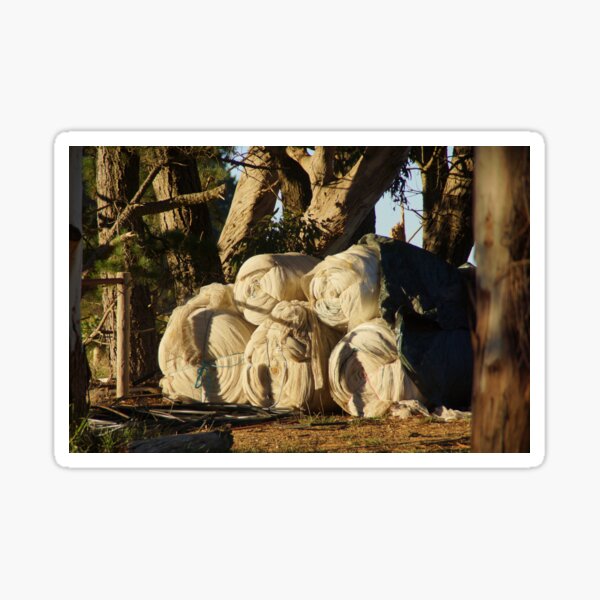 Item preview, The Nets - by Avril Thomas at Magpie Springs designed and sold by MagpieSprings.