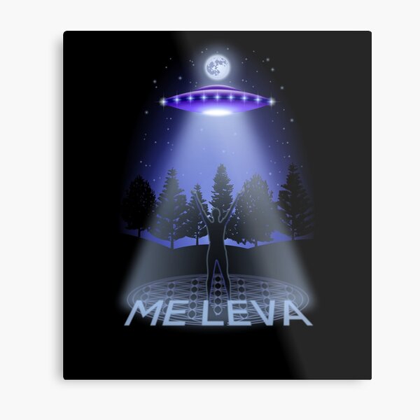 UFO Abduction Take me! Metal Print