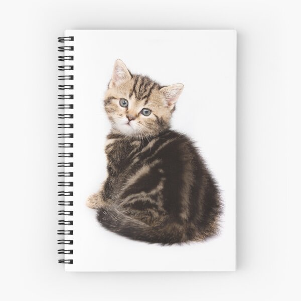 Item preview, Striped cute  fluffy kitten designed and sold by utekhina.