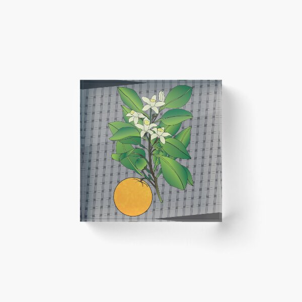 Item preview, Orange Blossoms on Grey Plaid designed and sold by OrangeEden.