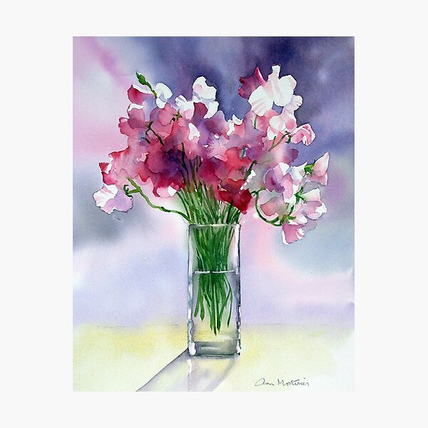 Impression Sweet Peas Photographic Print