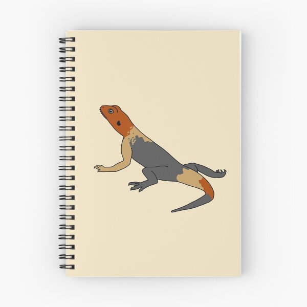 Item preview, Rock Agama Lizard designed and sold by taylorrowan.