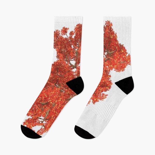 Item preview, Maple tree designed and sold by Creative fashion Mix.