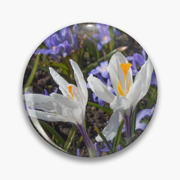 Item preview, two white flowers with yellow stamens surrounded by purple flowers designed and sold by nataliavavilina.