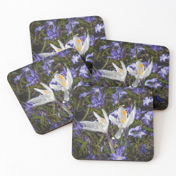Item preview, two white flowers with yellow stamens surrounded by purple flowers designed and sold by nataliavavilina.