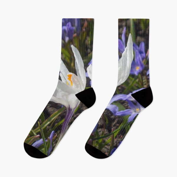 Item preview, two white flowers with yellow stamens surrounded by purple flowers designed and sold by nataliavavilina.