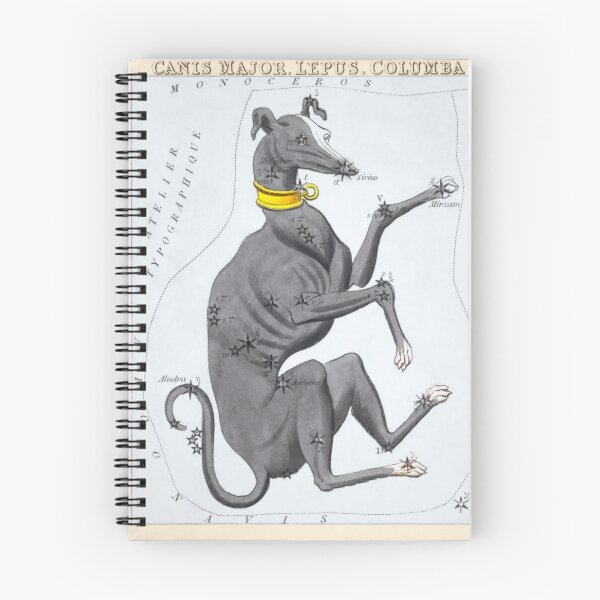 Item preview, Antique Constellation Map of Canis Major, Lepus, Columba, Caelum designed and sold by VintageArchive.