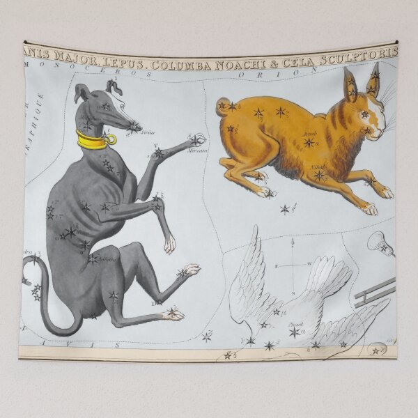 Item preview, Antique Constellation Map of Canis Major, Lepus, Columba, Caelum designed and sold by VintageArchive.