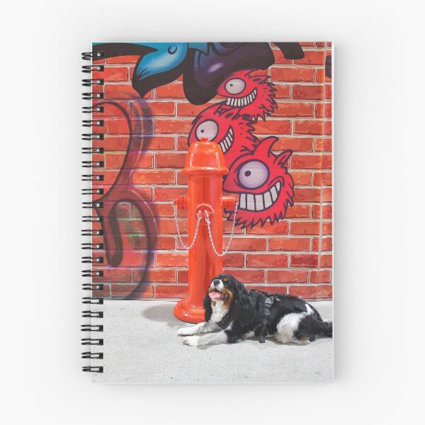 Item preview, Urban Explorer designed and sold by autisticgirlart.