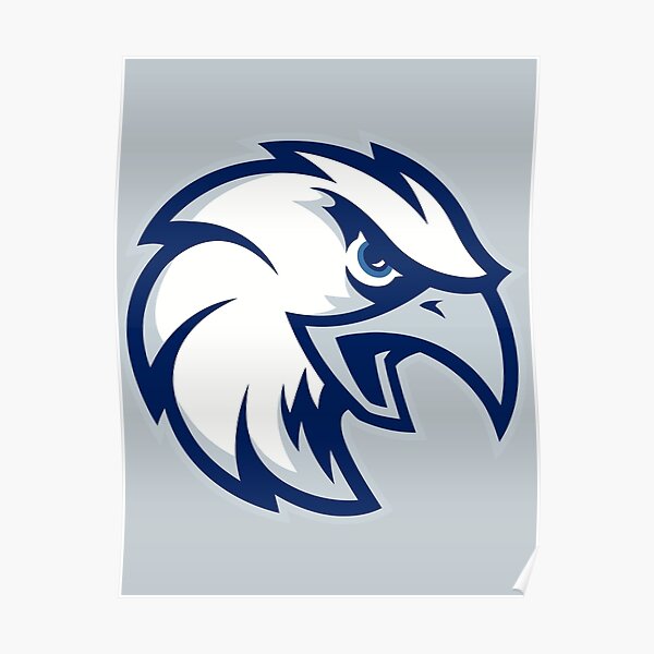 St Elizabeth Eagles Poster
