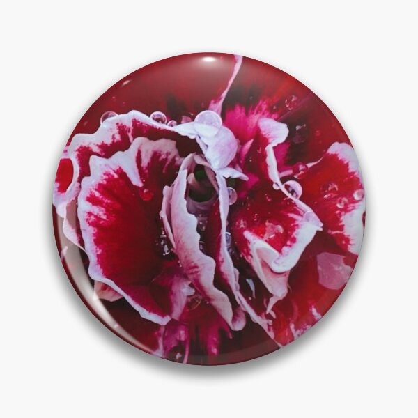 Item preview, Super trooper carnations flower designed and sold by PricksandPlants.