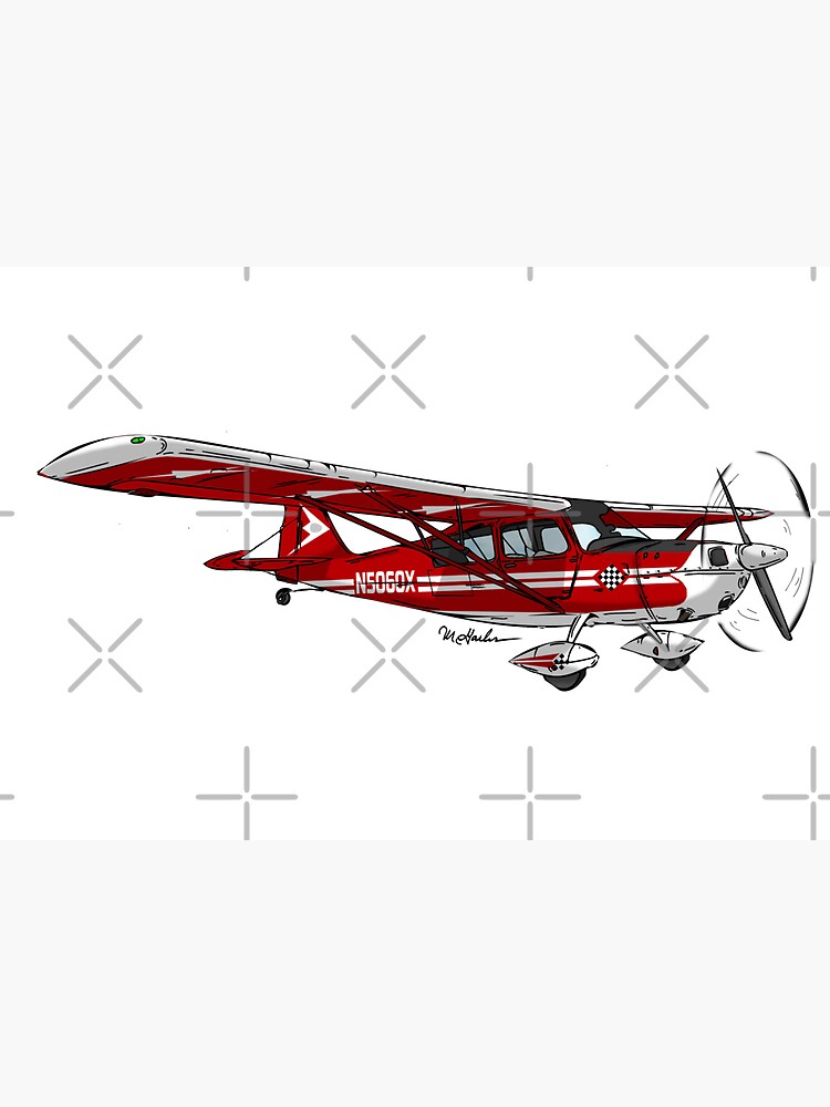 AMERICAN CHAMPION 8KCAB N5060X by Statepallets